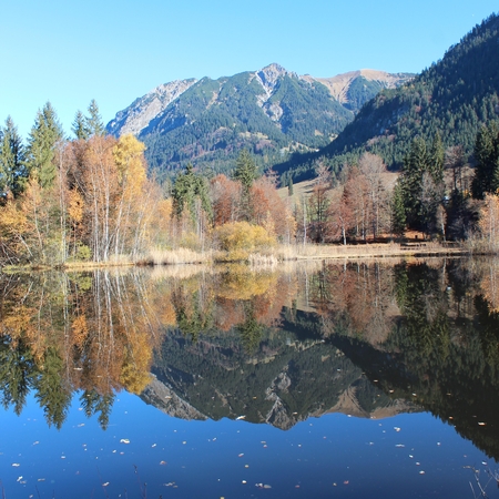 Hundetreffen 2015 im Allgäu (6)